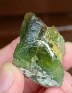 Rare Natural Peridot Crystal 149.75g | Beautiful Rough Green Gemstone Mineral Specimen
